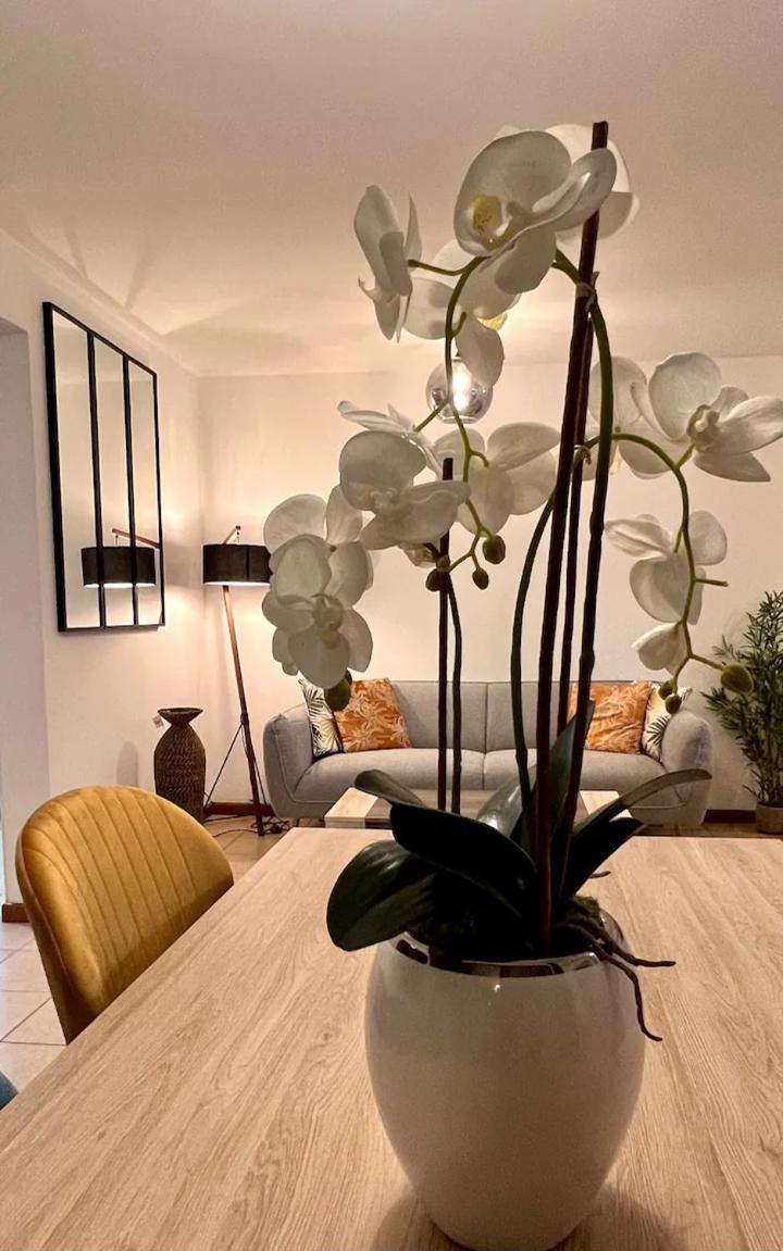 Apartmán Chez Gerard Saint Pierre Exteriér fotografie